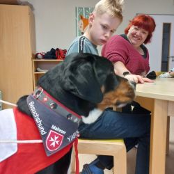 Ein Hund, ein Junge und eine Frau sitzen in einem Raum.