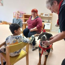 Der Hund wird von einem Kind und einer Person gestreichelt während im Hintergrund eine Frau und ein Junge zu sehen sind.