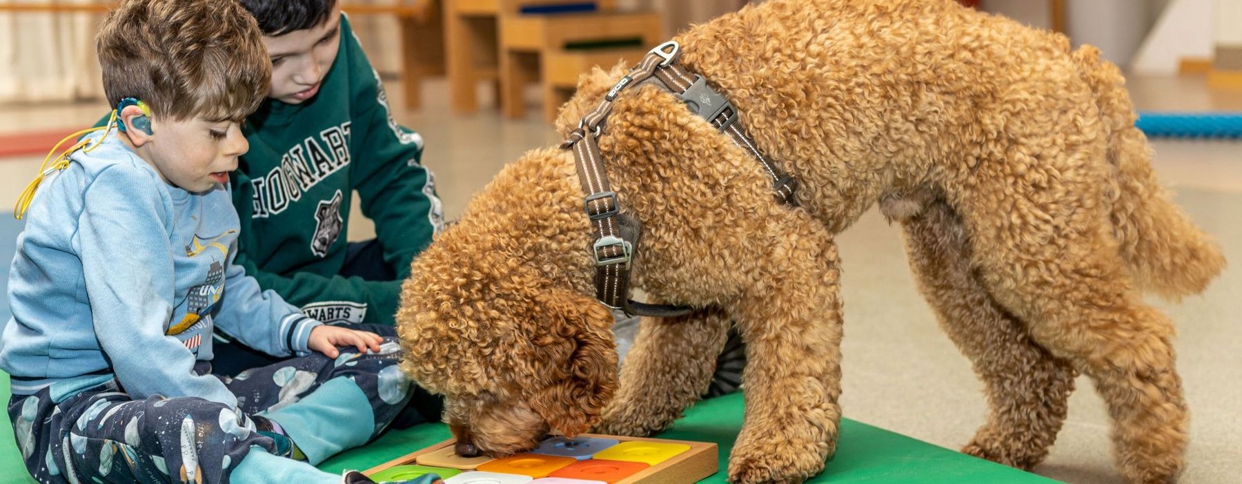 Ein Tauber Junge und ein andere Junge spielen mit dem Therapie Hund
